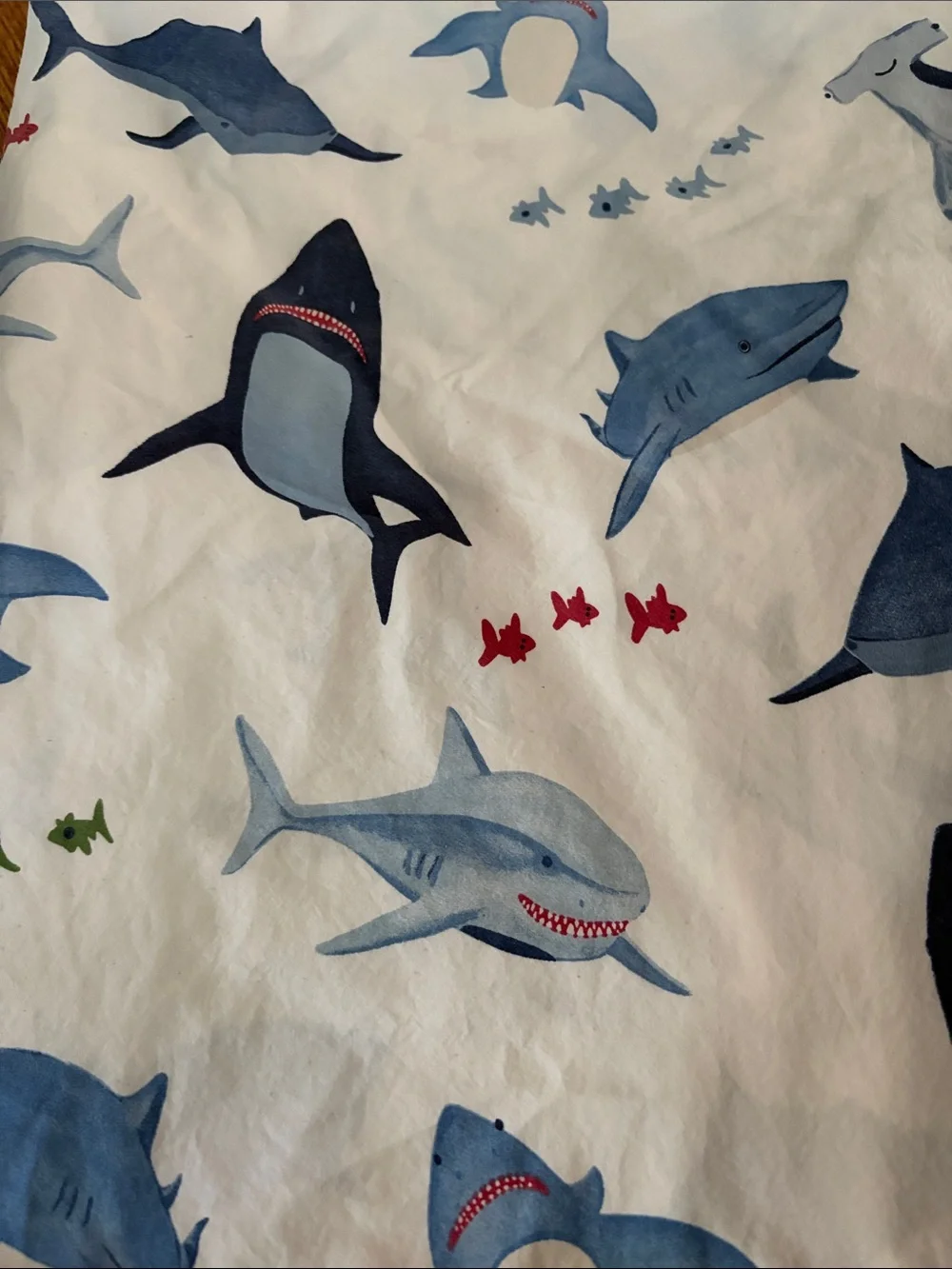 Pottery Barn Kids Blue Shark and Fish Print Sheet - White Background